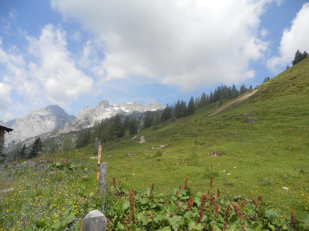 Apartmán Vorderhof Sankt Martin am Tennengebirge Exteriér fotografie