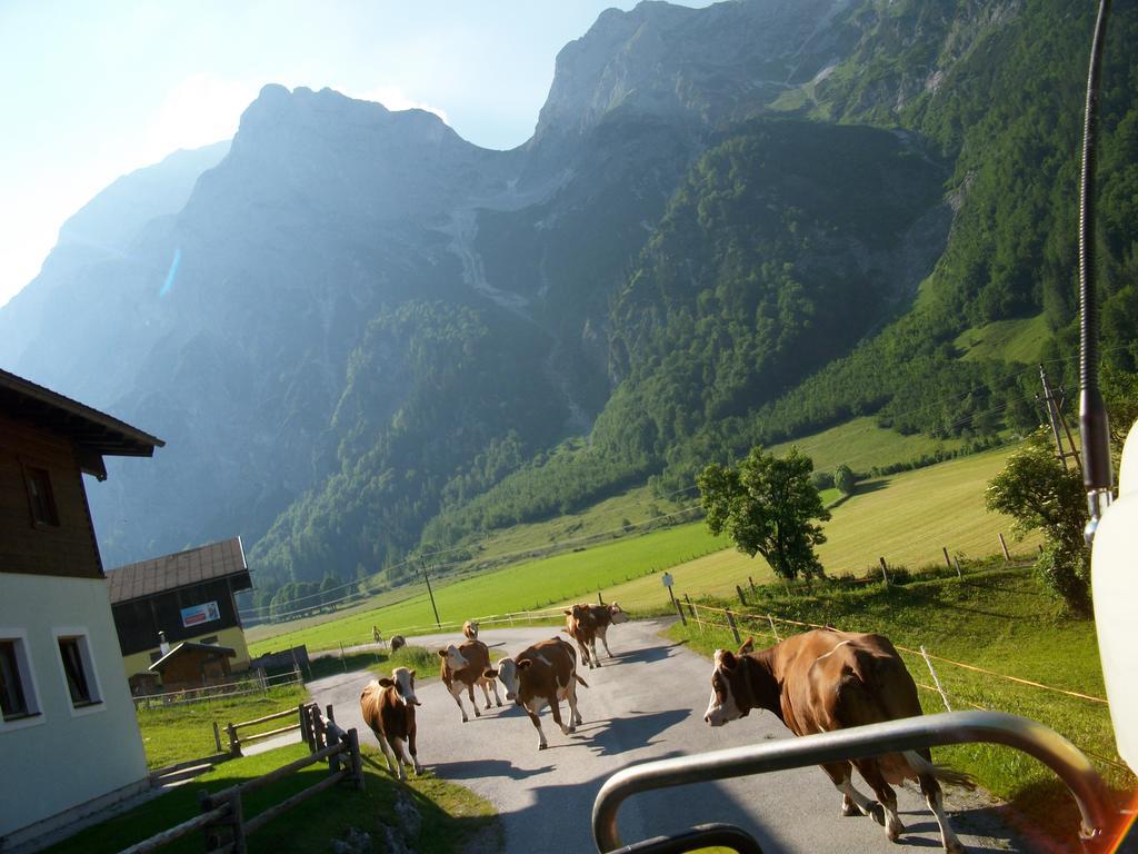 Apartmán Vorderhof Sankt Martin am Tennengebirge Exteriér fotografie